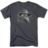 The Hobbit Gandalf The Grey Men's 18/1 Cotton Short-Sleeve T-Shirt